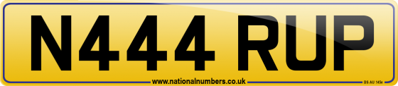N444 RUP
