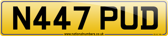 N447 PUD