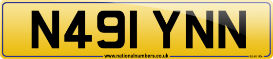 N491 YNN