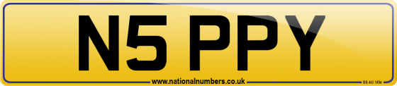 N5 PPY