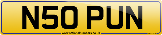 N50 PUN