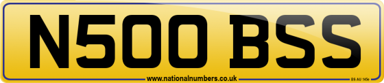 N500 BSS