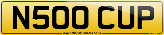 N500 CUP