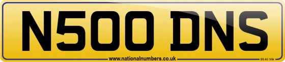 N500 DNS