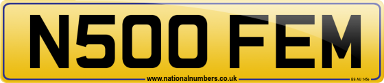N500 FEM