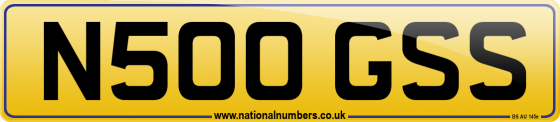 N500 GSS