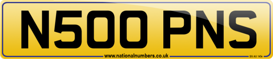 N500 PNS