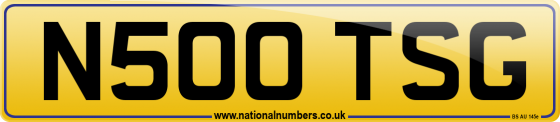 N500 TSG