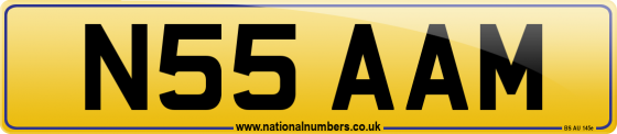 N55 AAM