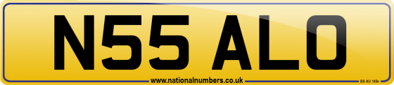 N55 ALO