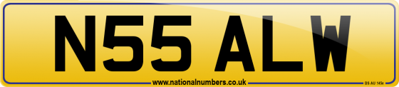 N55 ALW