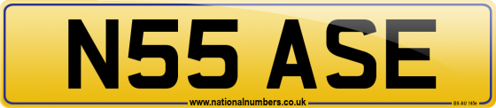 N55 ASE