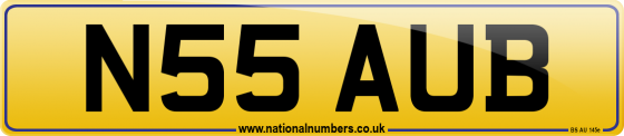 N55 AUB
