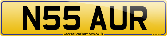 N55 AUR