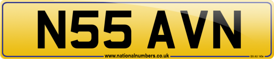 N55 AVN