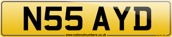 N55 AYD