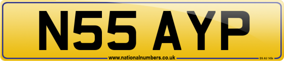 N55 AYP