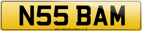 N55 BAM