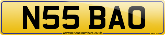 N55 BAO