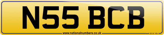 N55 BCB
