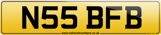 N55 BFB