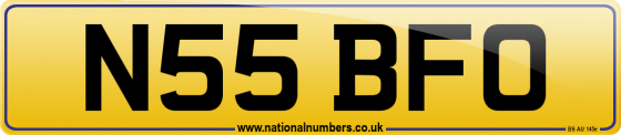 N55 BFO