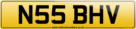 N55 BHV