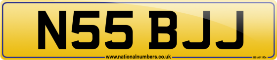 N55 BJJ