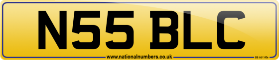 N55 BLC