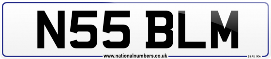 N55 BLM