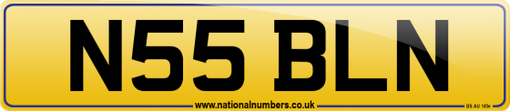 N55 BLN