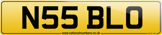 N55 BLO