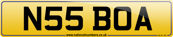 N55 BOA