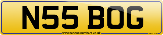 N55 BOG
