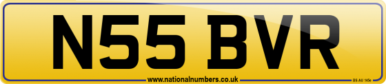 N55 BVR