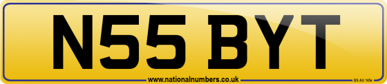 N55 BYT