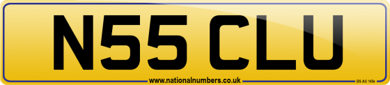 N55 CLU