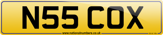 N55 COX