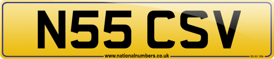 N55 CSV