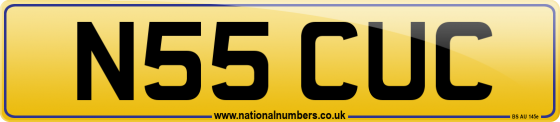 N55 CUC