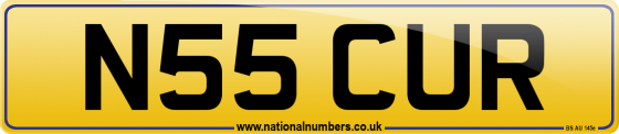 N55 CUR