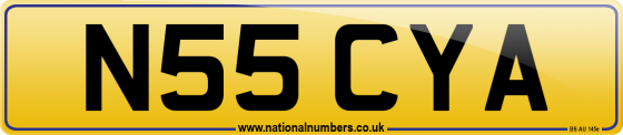 N55 CYA
