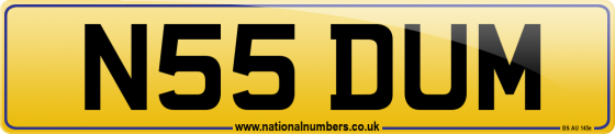 N55 DUM