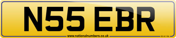 N55 EBR