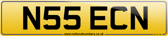 N55 ECN