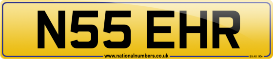 N55 EHR