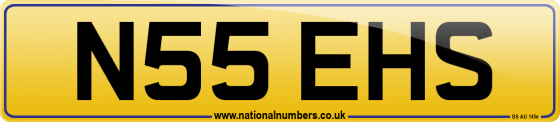 N55 EHS