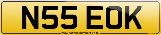 N55 EOK