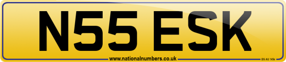N55 ESK
