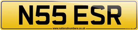 N55 ESR